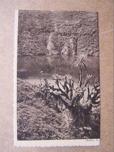 Visoke volcano old belgium - visoke,